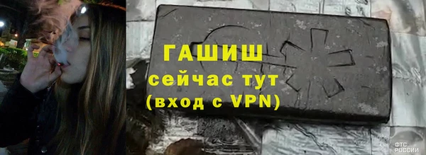прущие грибы Верея