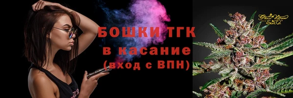 прущие грибы Верея