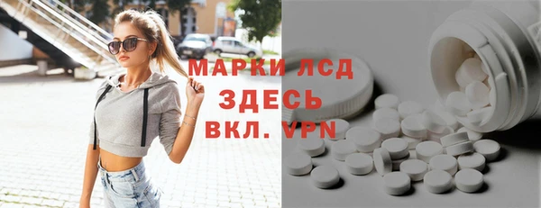 прущие грибы Верея